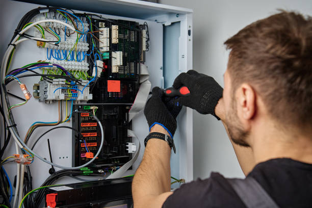 Licensed Electrical Panel Upgrade service in Davis Junction, IL - No Joke electrician